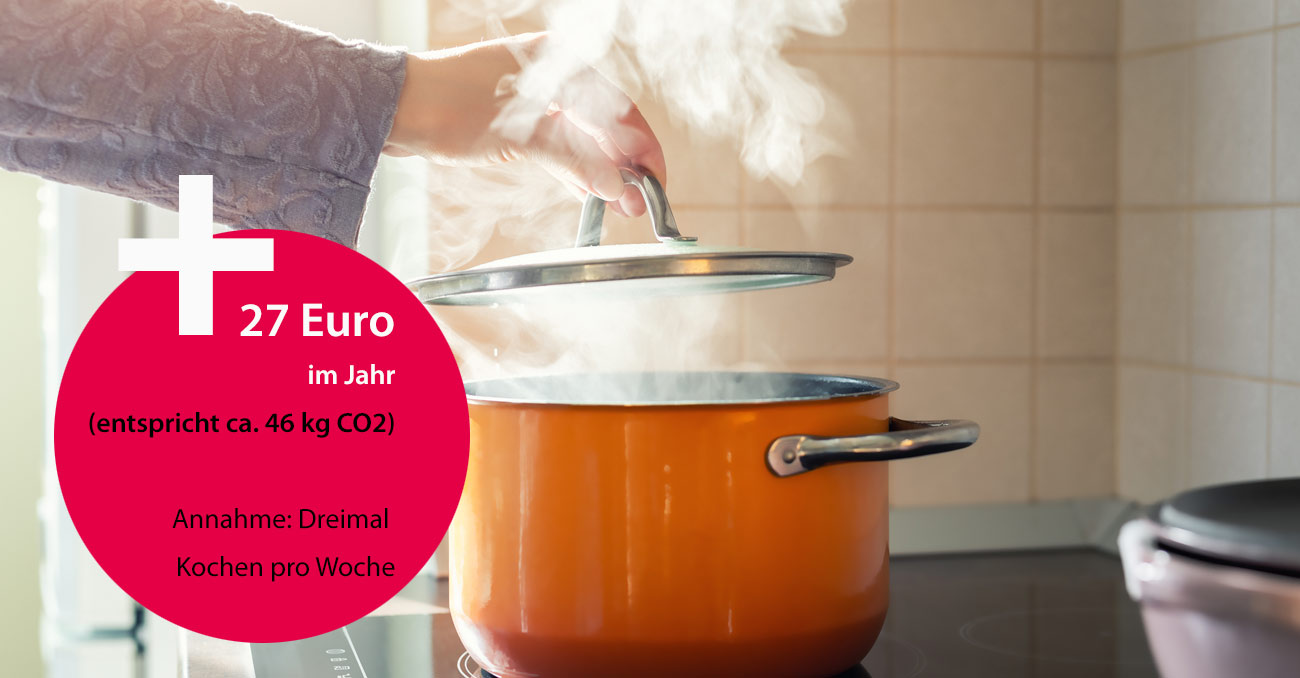 © AdobeStock: Kirill Gorlov + 27 Euro im Jahr (entspricht ca. 46 kg CO2) Annahme Dreimal Kochen pro Woche © AdobeStock: Kirill Gorlov