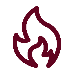 ERGO Icon Feuer